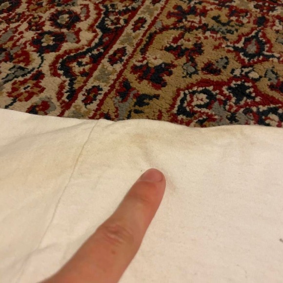 VTG 1995 Sawyer Brown This thing called wantin & havin it all country tshirt XL - Picture 8 of 8